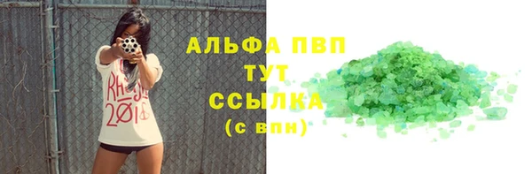 СК Алексин