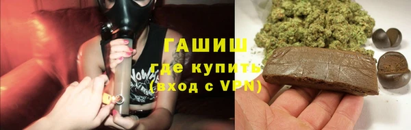 СК Алексин