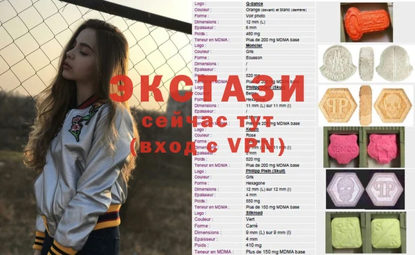СК Алексин
