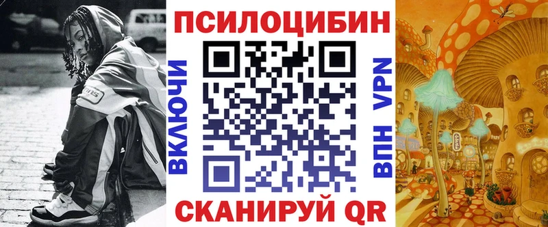 дарнет шоп  Нижний Новгород  Галлюциногенные грибы прущие грибы 