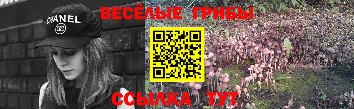Галлюциногенные грибы мицелий Нижний Новгород