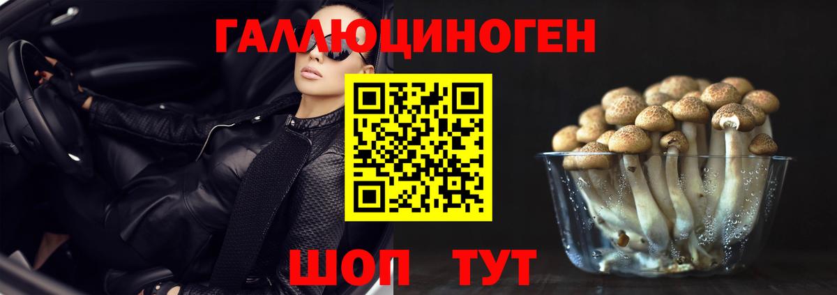Псилоцибиновые грибы мицелий  Вход с VPN  Нижний Новгород  Псилоцибиновые грибы GOLDEN TEACHER 