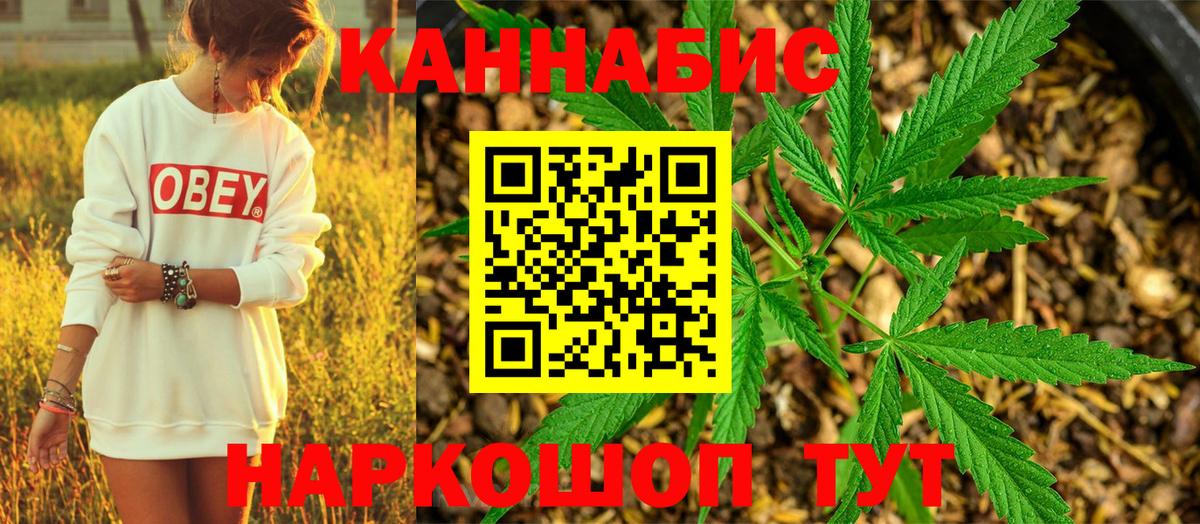 Марихуана планчик Нижний Новгород